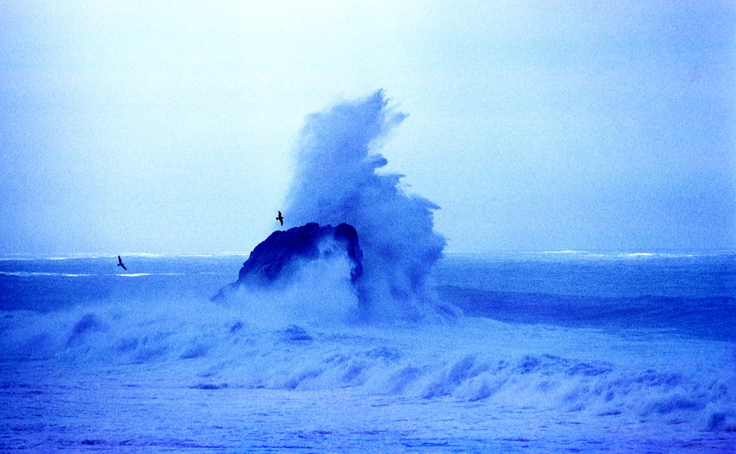 waves breaking over rock, with seagulls - Storm on the California coast - 1960 - Kodachrome - Tony Karp, design, art, photography, techno-impressionist, techno-impressionism, aerial photography , drone , drones , dji , mavic pro , video , 3D printing - Books -