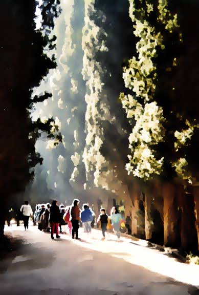 At the Alhambra - by Tony Karp