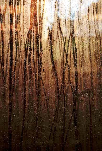 MOMA raindrops - by Tony Karp