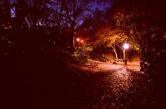 Central Park nocturne - by Tony Karp