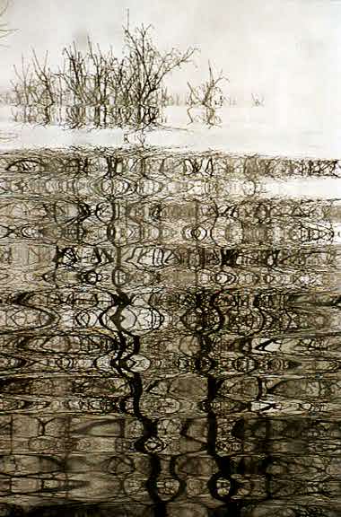 Waves - by Tony Karp