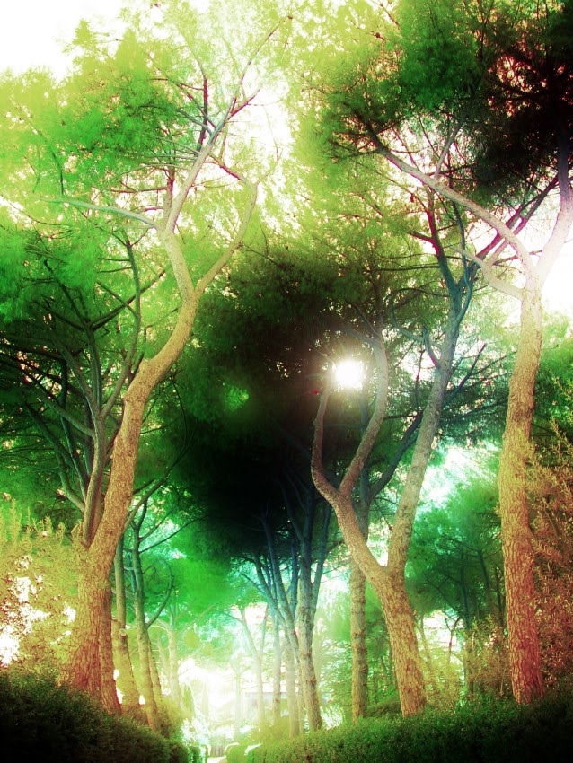 by Tony Karp