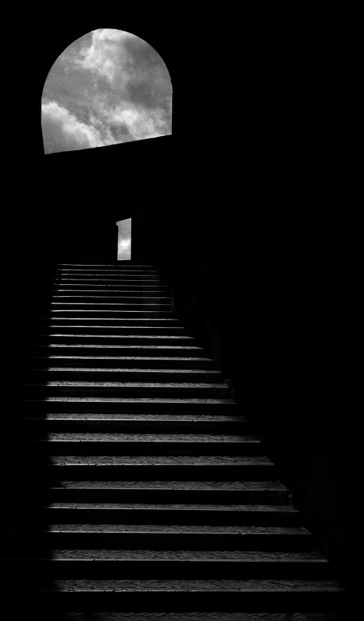 by Tony Karp