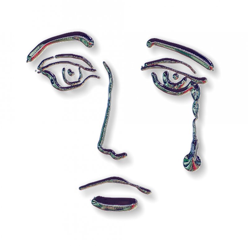 Tears for my president- by Tony Karp