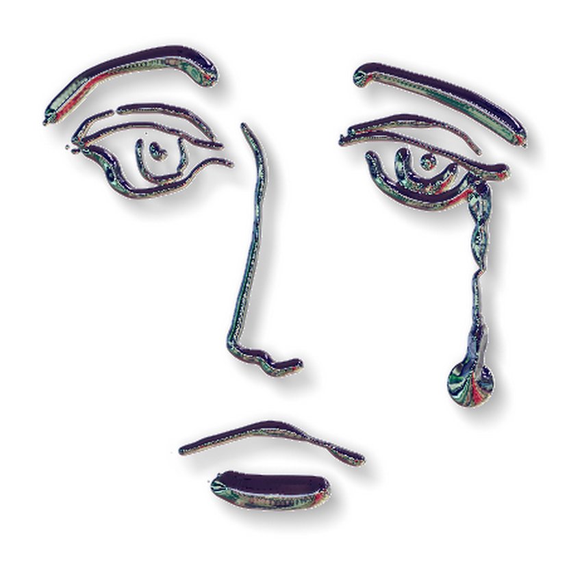 Tears for my president- by Tony Karp