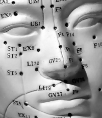 Pinhead the accupuncture dummy
