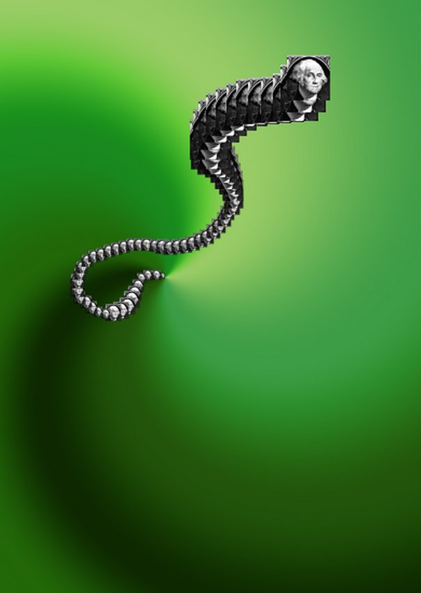 Washington Worm- by Tony Karp