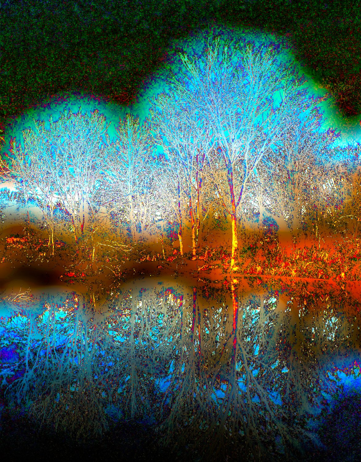 Glowing tree reflected in water #2 - - Fiddling with the colors - Ida Lee Park, Leesburg Virginia - Panasonic DMC-FZ5 - Tony Karp, design, art, photography, techno-impressionist, techno-impressionism, aerial photography , drone , drones , dji , mavic pro , video , 3D printing - Books -