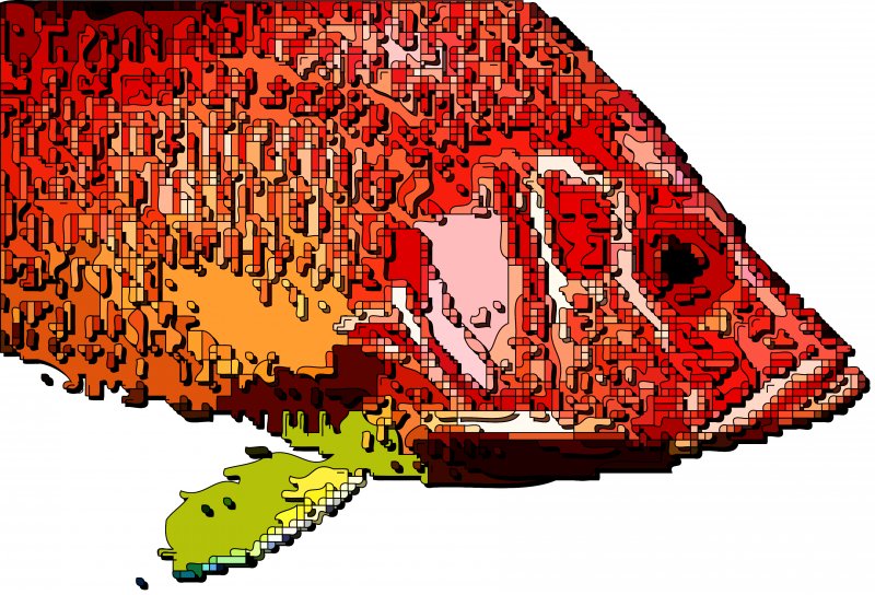 Fish are the sum of their parts - by Tony Karp