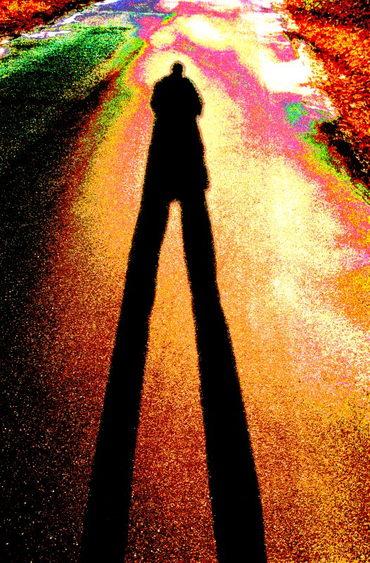 NCMA shadow #2 - by Tony Karp