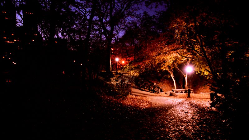 Central Park nocturne - by Tony Karp