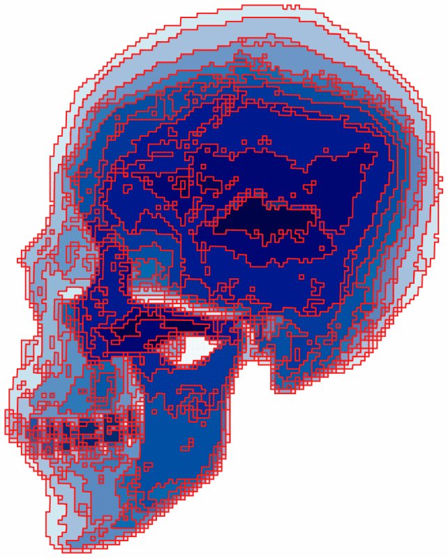 Orthography of the skull - by Tony Karp