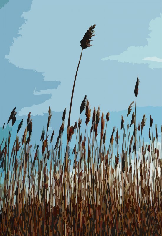 Beach reeds #1 - by Tony Karp