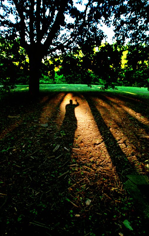 Me beneath the tree - by Tony Karp